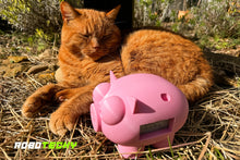 Load image into Gallery viewer, Lightning Piggy