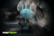 Load image into Gallery viewer, Bitcoin Satskull